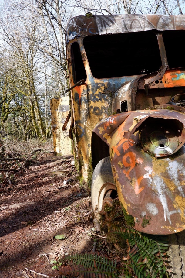 Abandoned truck on a trail I found