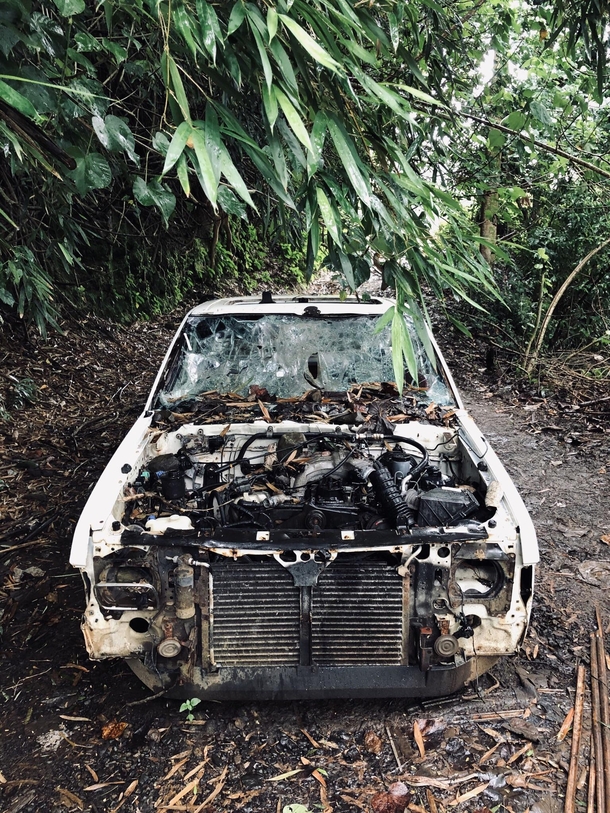 Abandoned truck on Maui Hawaii