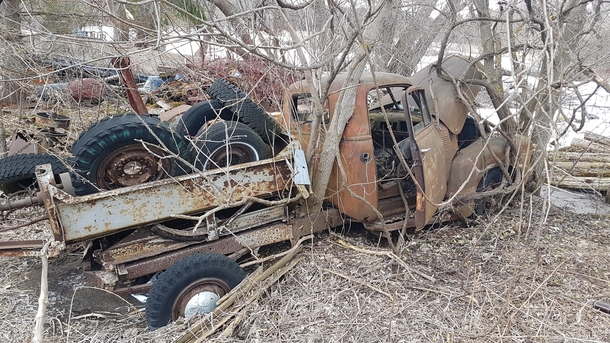 Abandoned truck taken by trees Ontario Canada