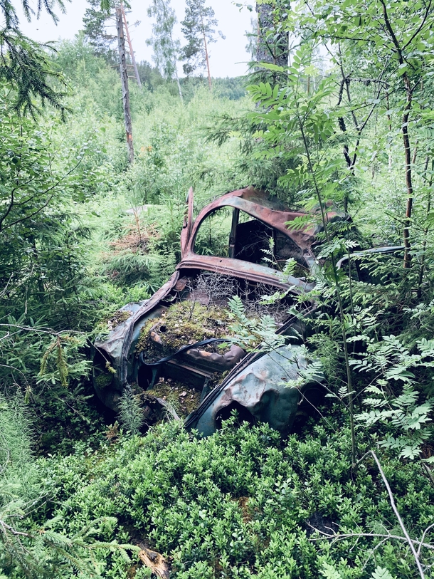 Abandoned VW beetle in the middle of a Swedish forest