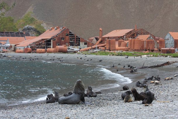Abandoned whaling station South Georgia and the South Sandwich Islands 