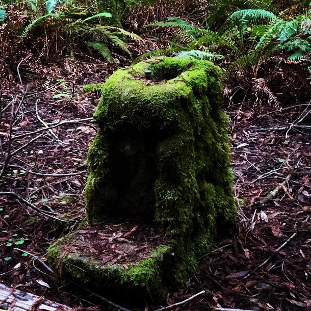Absolutely fascinating and somewhat eerie old public fountain in the Armstrong Redwood forest outside of Guerneville CA