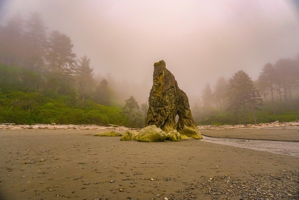 After a fully sunny day in Olympic NP the fog rolled in as I got to Ruby Beach making it look like Id always imagined the PNW is supposed to look OC x