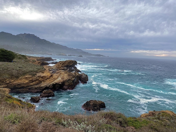 After a wave of rain when sun is out - Point Lobos CA 