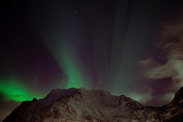 After chasing them for years I finally saw the Northern Lights last night Lofoten Norway 