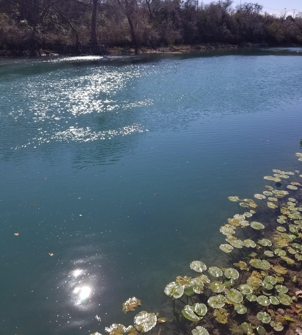 Afternoon sunlight sparkling on the Fro River - New Braunfels TX US 