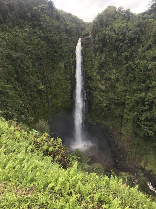 Akaka Falls Big Island Hawaii USA 