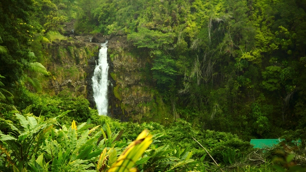 Akaka Falls Hawaii 