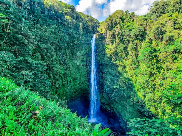 Akaka Falls on the Island of Hawaii 