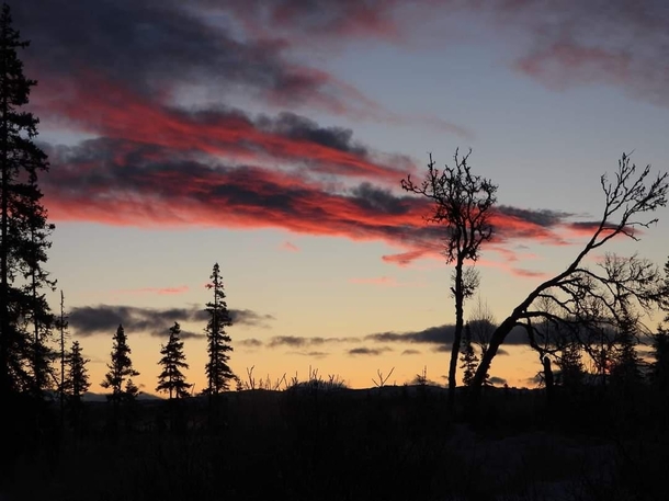 Alaskan sunset