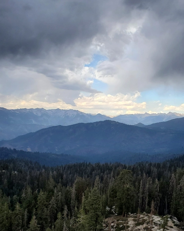 All I can see Sequoia National Park CA USA 