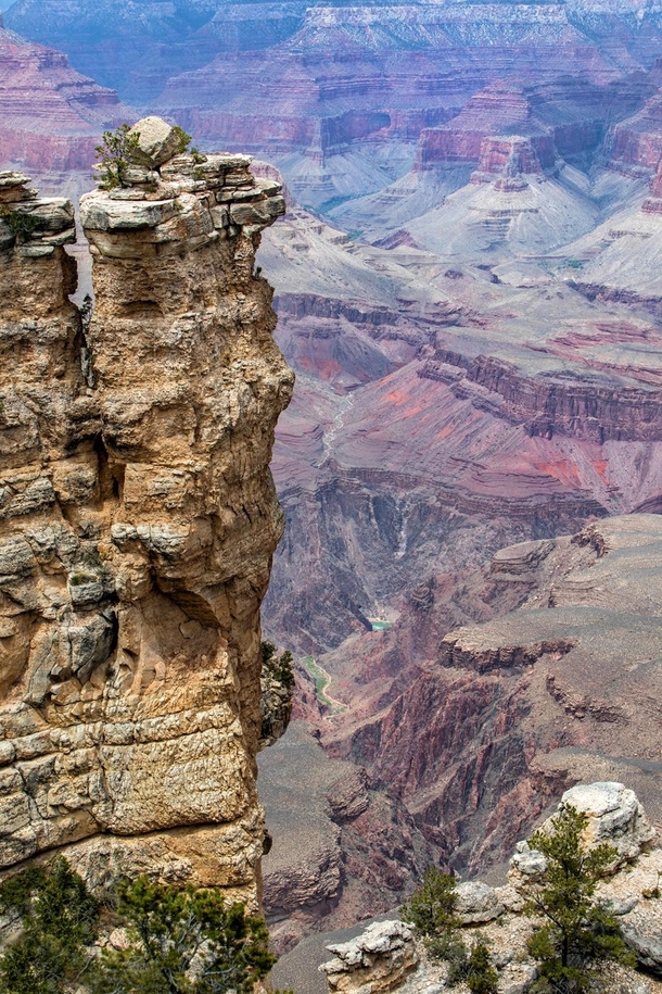 All the Way to the Bottom Grand Canyon AZ USA 