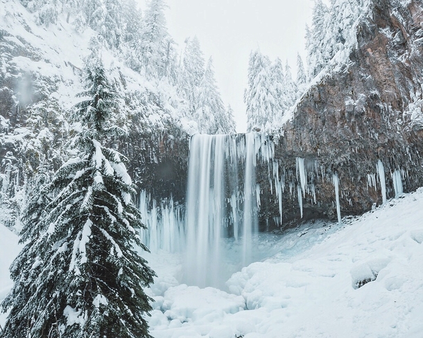 Almost Frozen - Tamanawas Falls Oregon 