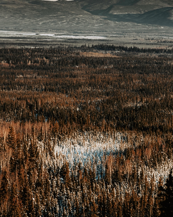 Alone in solitude Alaska