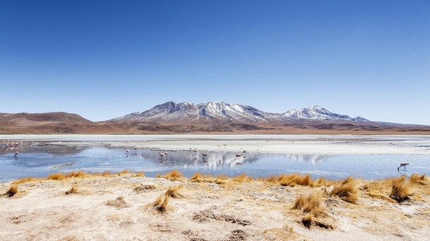 Altiplano Bolivia by Nic Prins 
