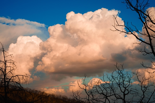 Amazing clouds over La Primavera Forest Jalisco Mexico 