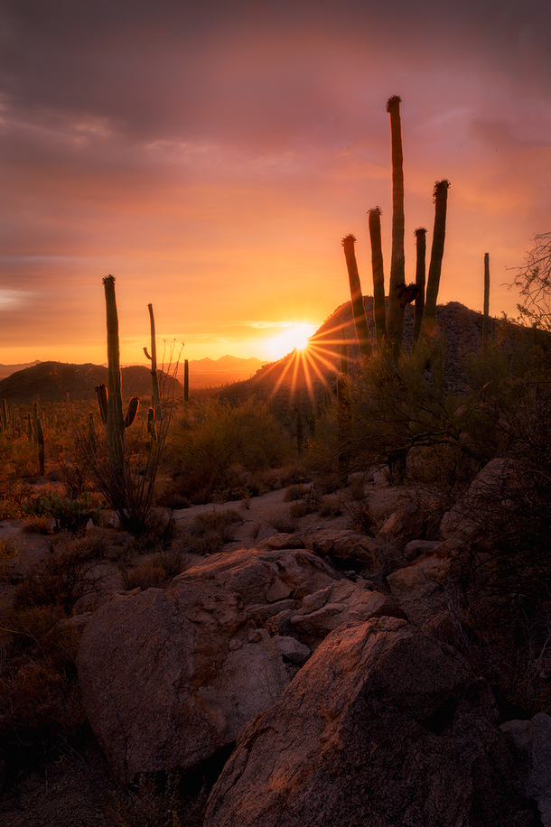 Amazing desert light over the skies of Saguaro National Park Tucson AZ  andrewsantiago_
