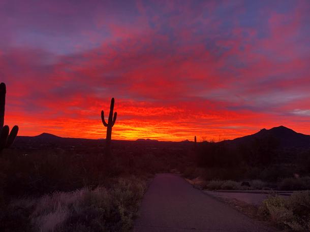 Amazing sunrise from my friend in Cave Creek AZ