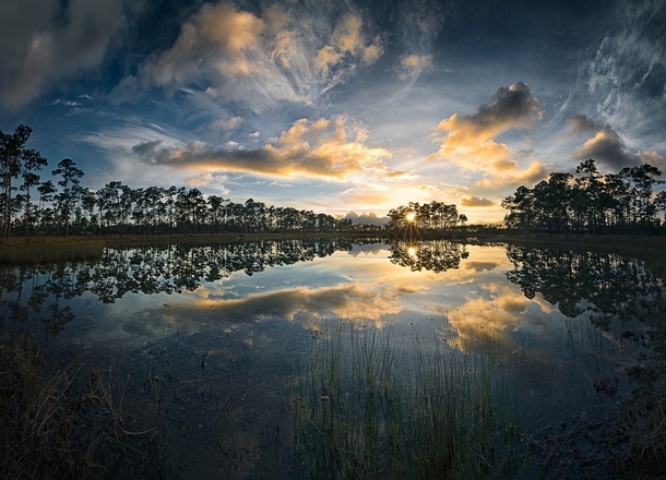 Amazing Sunset in the Florida Everglades x-post rpics 