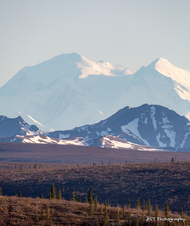 Americas tallest mountain Only  of visitors get to see her Denali National Park Alaska  x OC AlecOutside