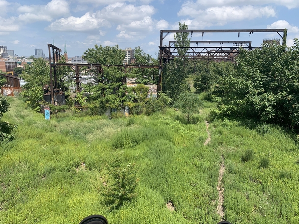 An abandoned elevated train line in Philly I came across while waiting for my bus