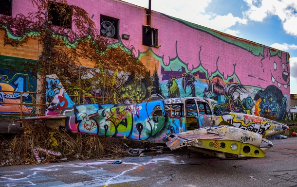 An abandoned plane turned into a paint canvas The pink multiple breasted dog on the building really brings the image out I think LOL