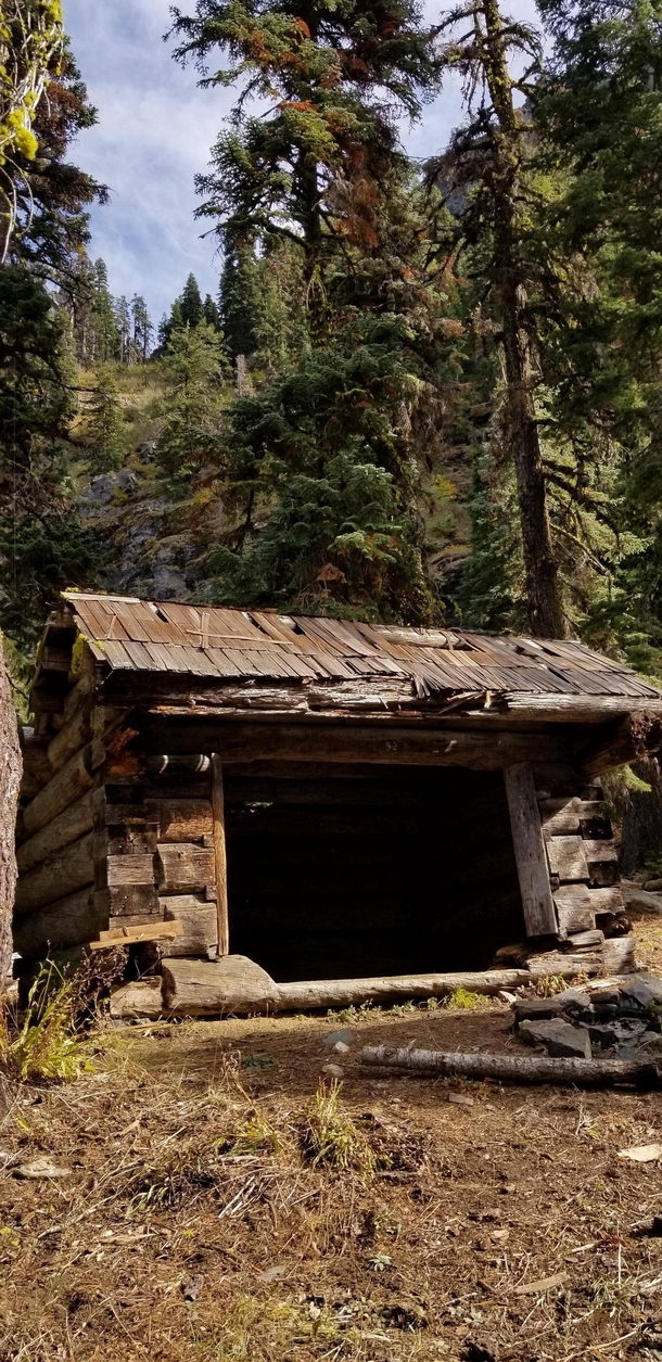 An abandoned structure in Klamath National Forest California OC x