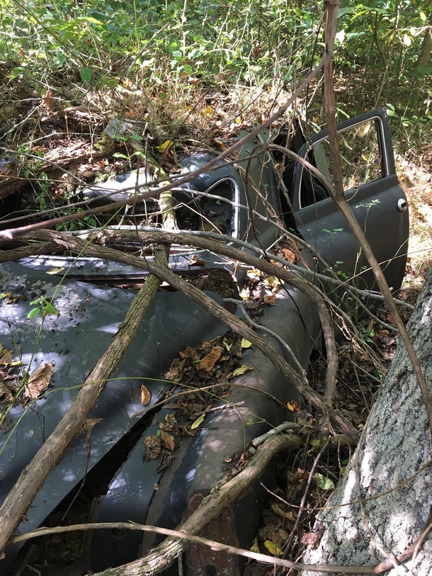 An abandoned Studebaker in MD USA