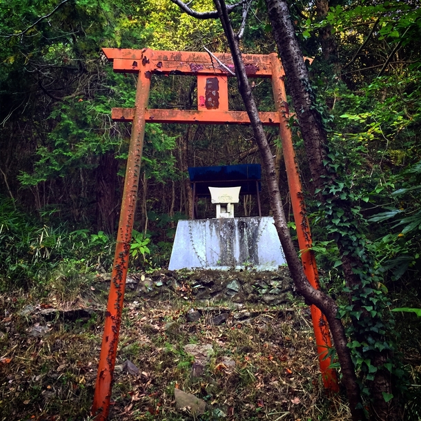 An abandoned Torii gate found in the Joganji Mountain Japan 