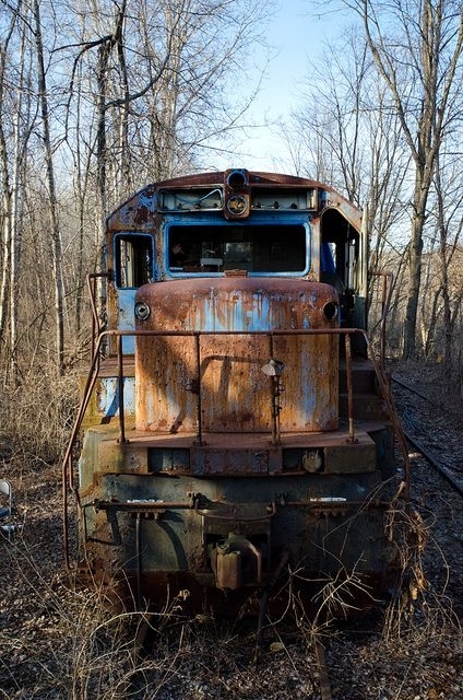 An abandoned train  by Helena Bowman