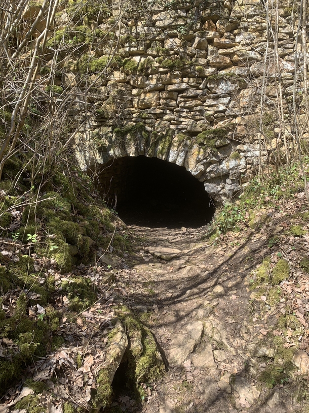 An abandoned tunnel in the forest