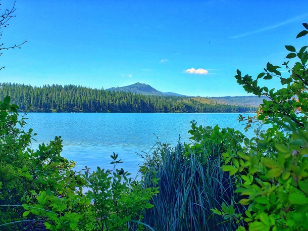 An amazing view I wanted to share Suttle Lake Deschutes National Park Oregon 