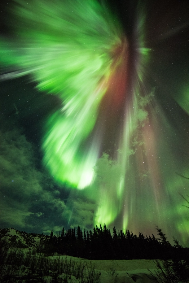 An aurora like an explosion over Donnelly Creek Alaska  Photographed by NASAs Marshall Space Flight Center