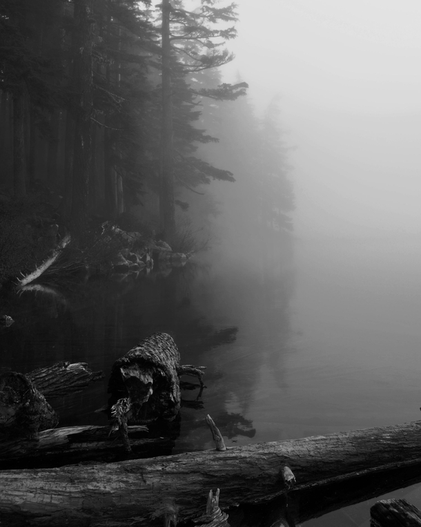 An eerie day at Mason Lake WA OC 