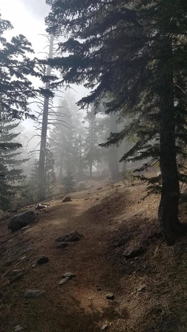 An eerie morning hike through the Angeles National Forest CA 