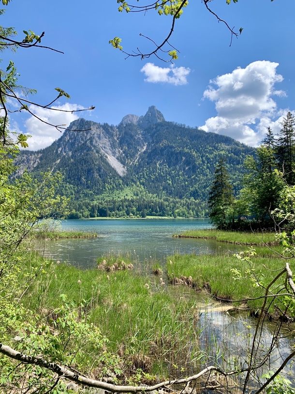 An encore to yesterdays snapshot at the beautiful Alpsee Bavaria  x