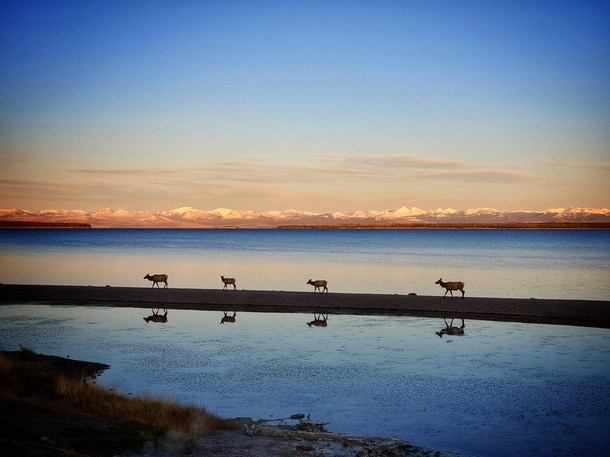 An Evening at the Yellowstone Lake October   Yellowstone National Park WY USA 