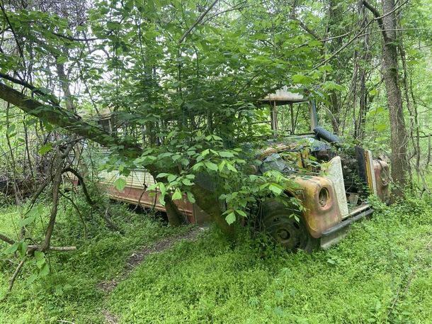 An old bus my wife and I found on a trail