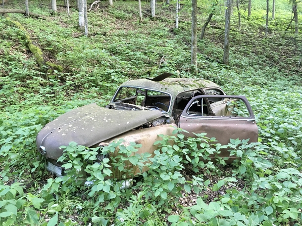 An old car in the woods