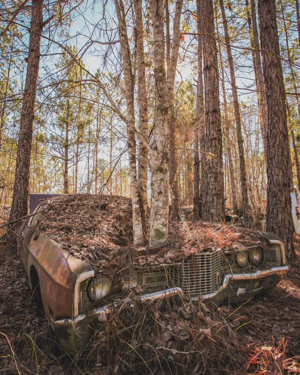 An old car left behind in the woods ocx
