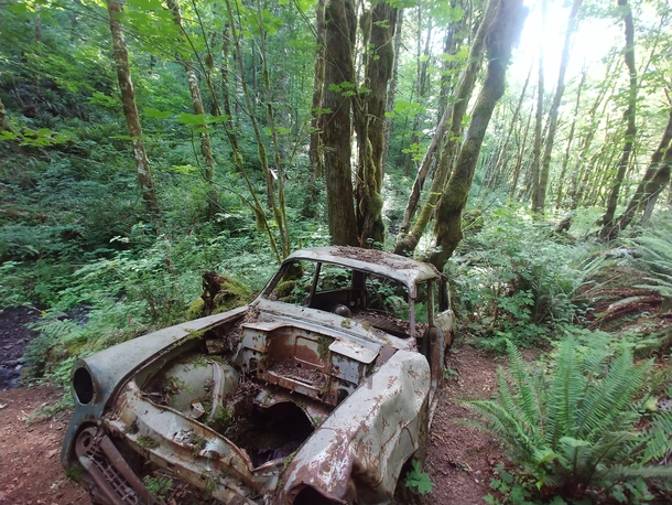 An old Chevy we stumbled upon two miles into a hike in Oregon