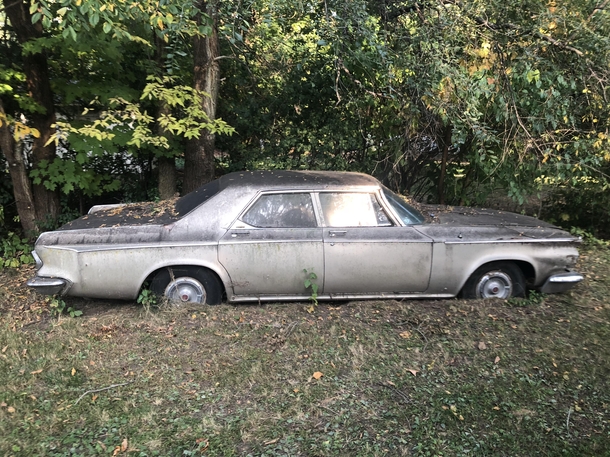 An old Chrysler thats been in a yard for  years