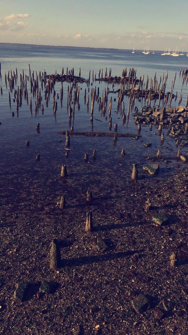 An old dock made in  in Keyport NJ These are its remains