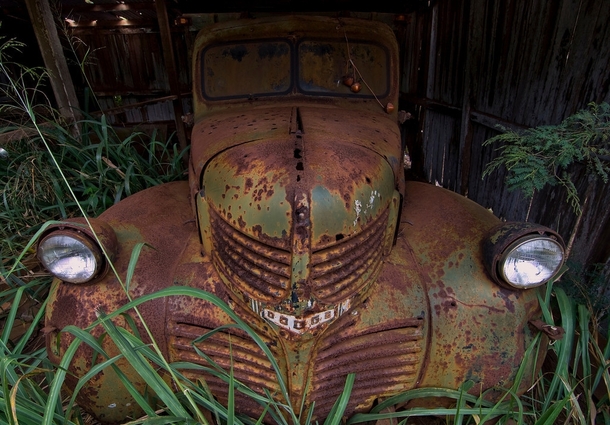 An old Dodge truck slowly rots away in an abandoned garage on the island of Lanai Hawaii OC  x 