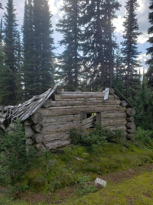 An old miners cabin last inhabited in  by Fred Porter Yanks Peak Rd Barkerville BC