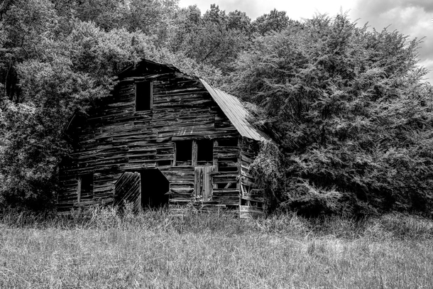An overgrown barn in Cherokee County South Carolina  by Steven Blackmon