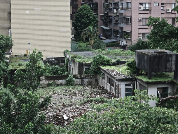 An overgrown ruin facing the Technology Building Station in Taipei