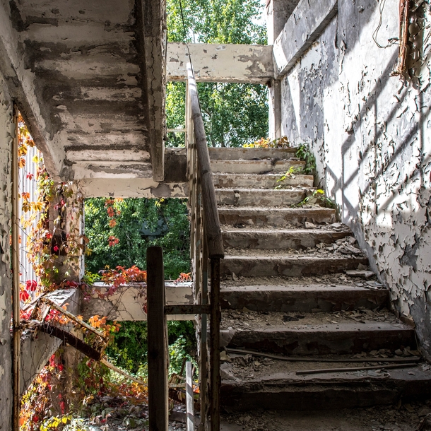 An overgrown staircase in the abandoned Jupiter Factory on the outskirts of Pripyat Aside from the nearby Chernobyl Nuclear Power Plant this industrial complex producing audio-electrical equipment was one of the largest local employers 