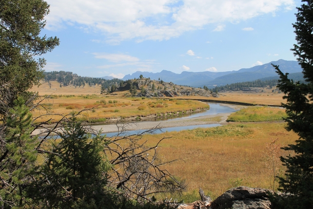 An Unfolding Landscape - Slough Creek Yellowstone NP 