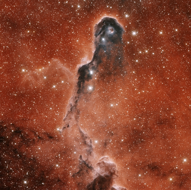An Unusual Globule in IC  aka Elephants Trunk Nebula -- Energetic light from a bright young star is eating away the dust of the dark cometary globule near the top of the image Jets and winds of particles emitted from this star are also pushing away ambien